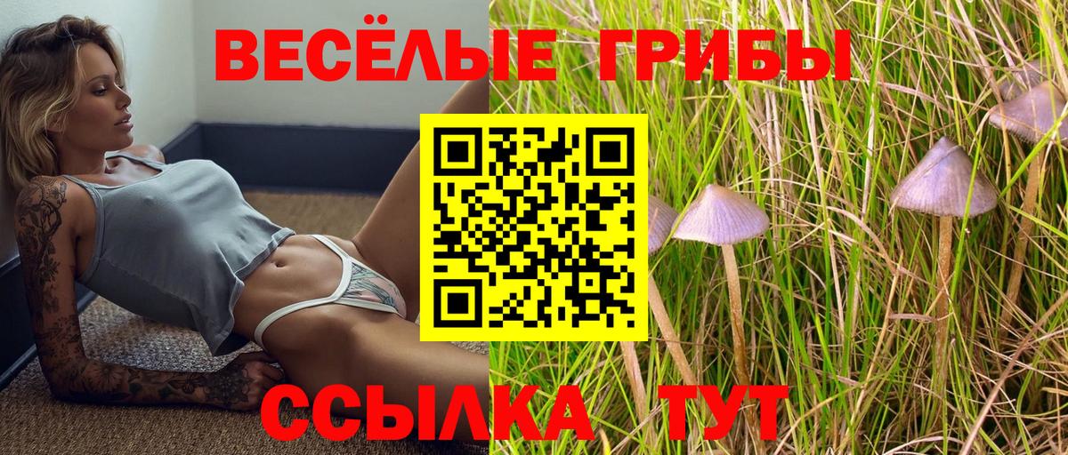 Сатка  Галлюциногенные грибы прущие грибы  дарнет шоп  Вход с VPN 
