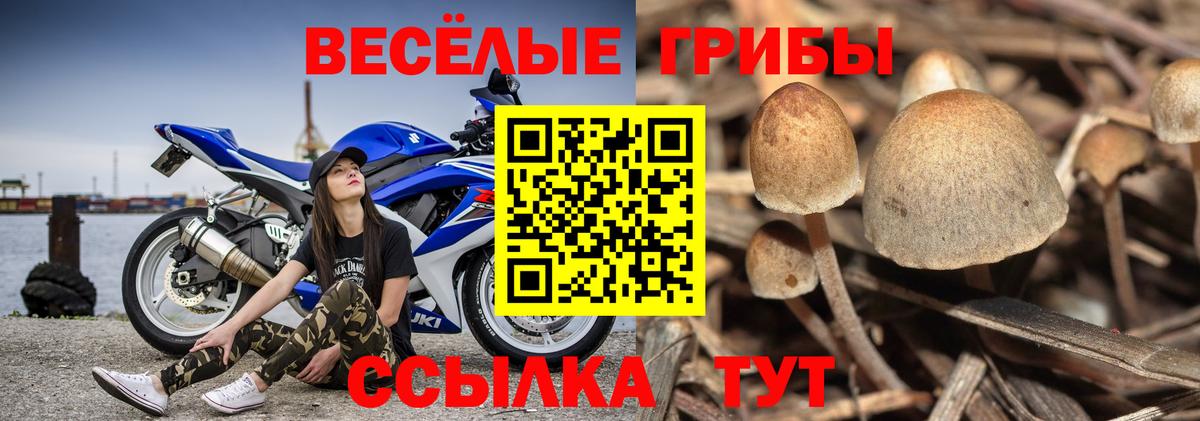 Псилоцибиновые грибы Magic Shrooms Сатка