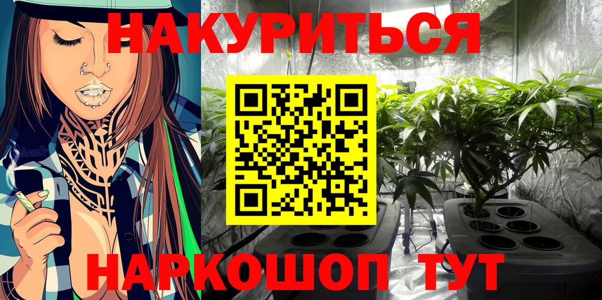 Конопля план Сатка